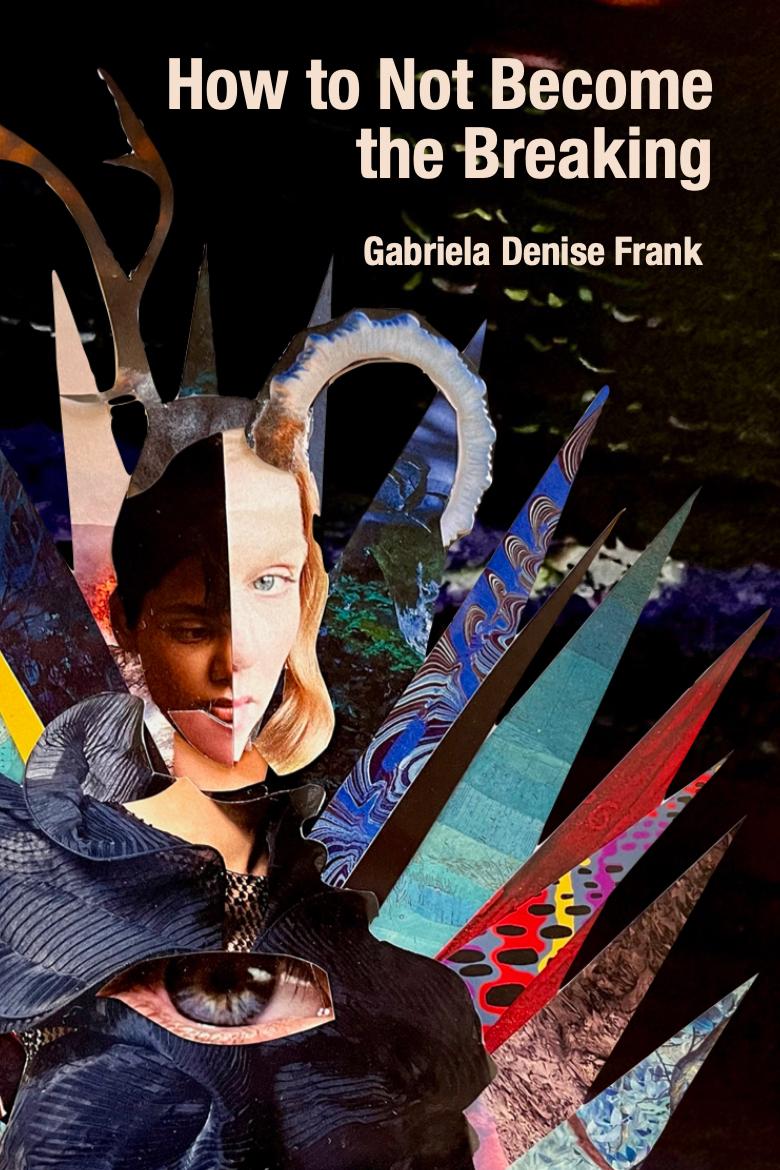 Book cover of How to Not Become the Breaking by Gabriela Denise Frank