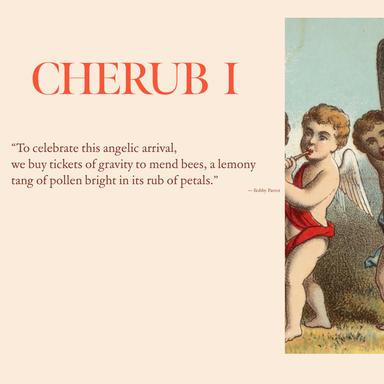 Cherub Magazine latest issue
