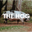 The Hog Literary Magazine