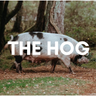 The Hog Literary Magazine logo