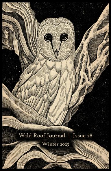 Wild Roof Journal latest issue