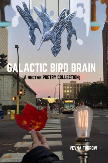 Book cover of Galactic Bird Brain by Jazz Marie Kaur