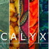 CALYX Journal logo