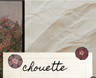 Chouette logo