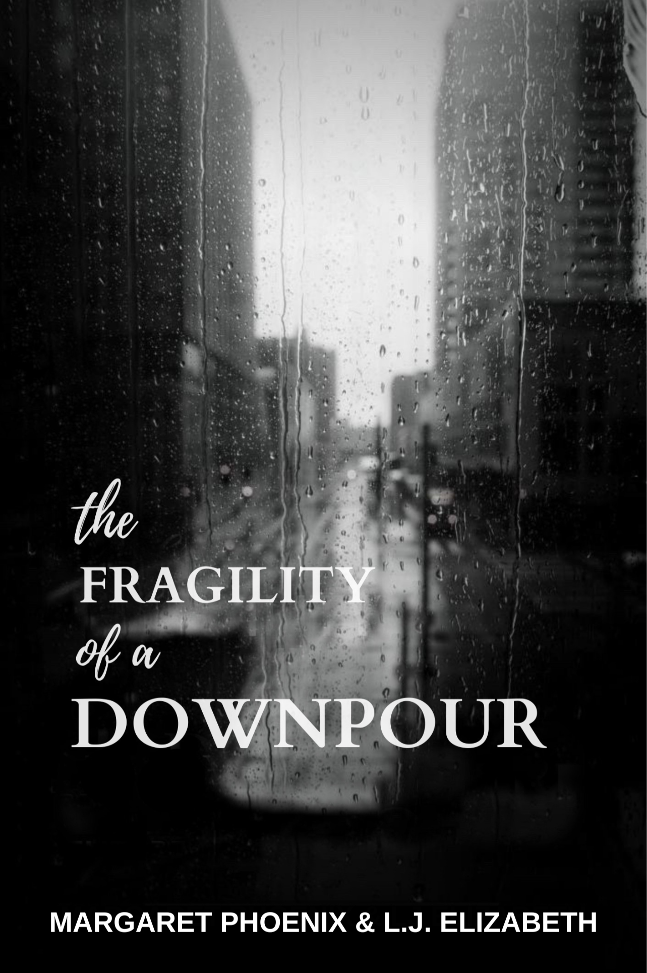 Book cover of The Fragility of a Downpour by L.J. Elizabeth