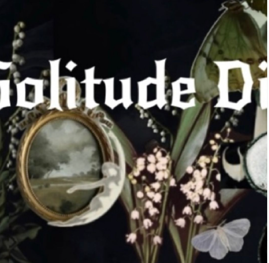 Cover of Solitude Diaries