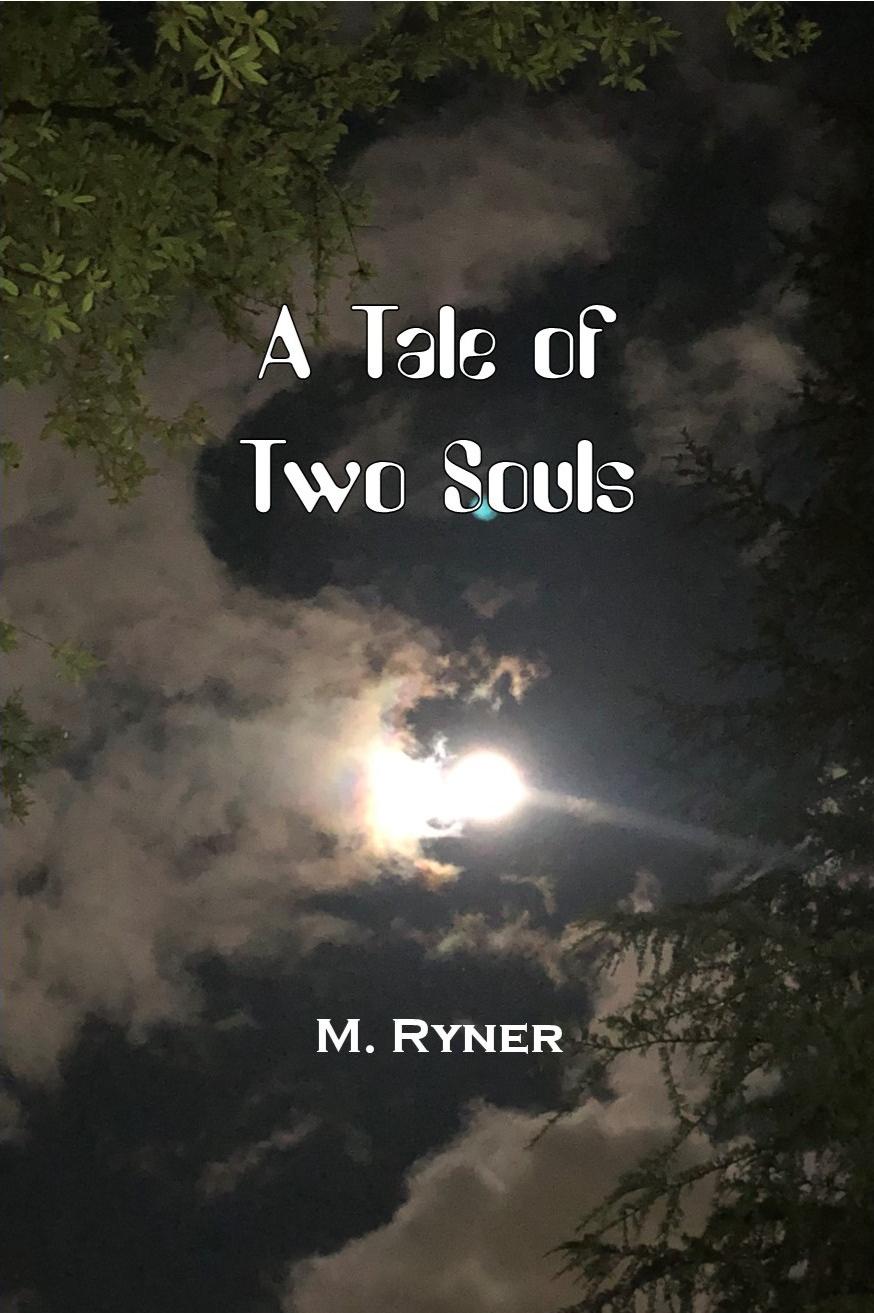 Book cover of A Tale of Two Souls by Michael Ryner