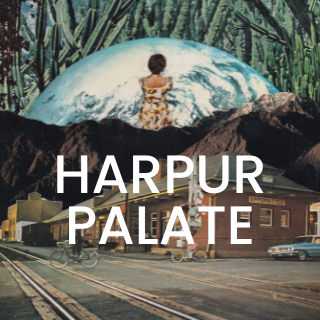 Cover of Harpur Palate Literary Journal