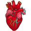 Heartlines Spec