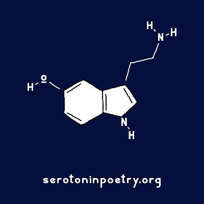 Cover of Serotonin