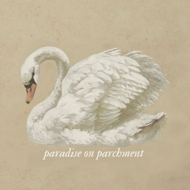 paradiseonparchment avatar