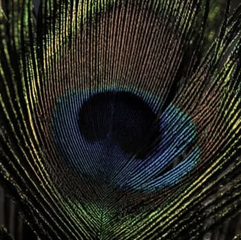 Unbound Ink latest issue