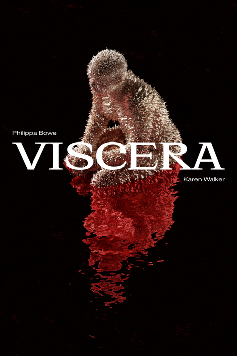 Book cover of Viscera by Karen Walker