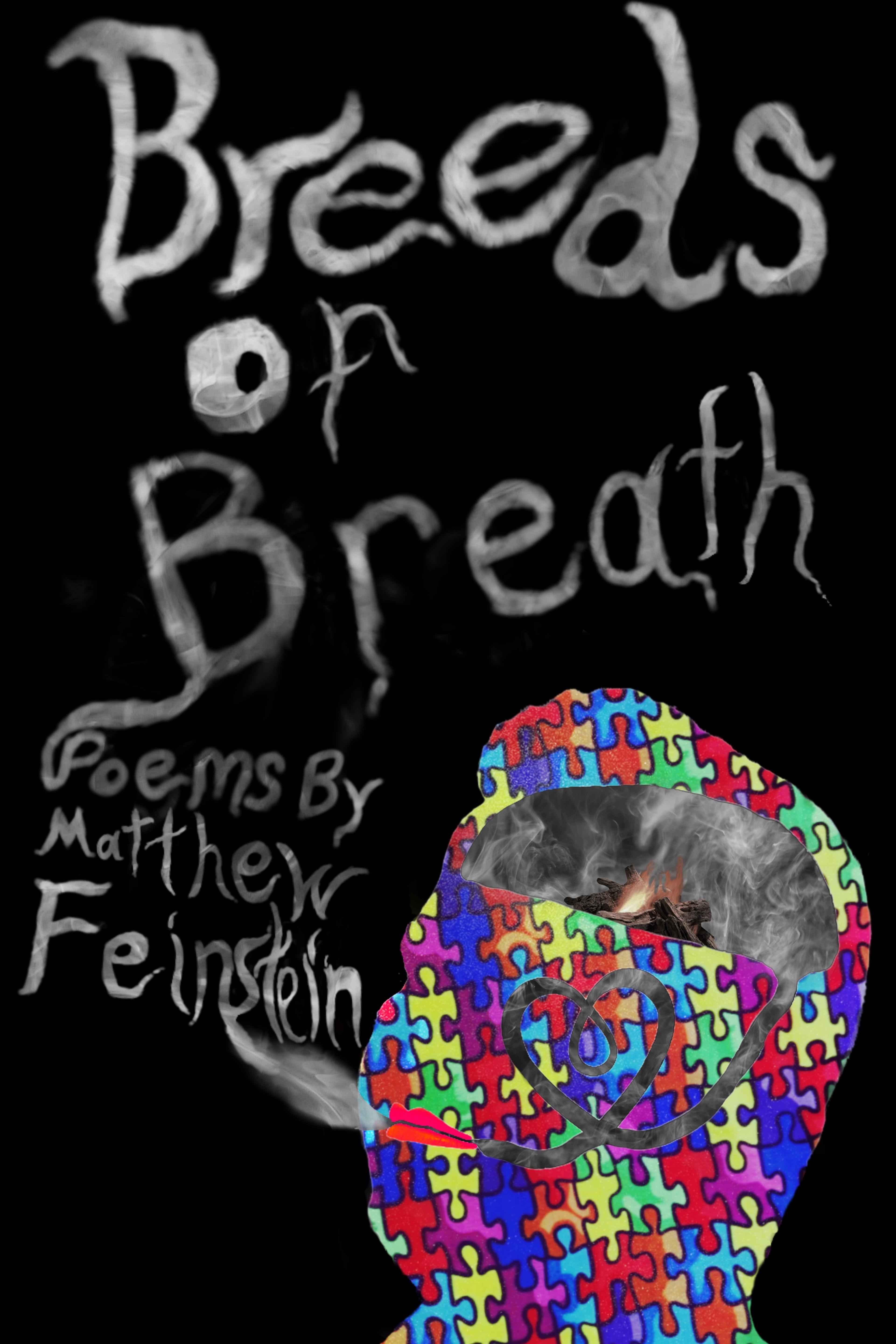 Book cover of Breeds of Breath by Matthew Feinstein