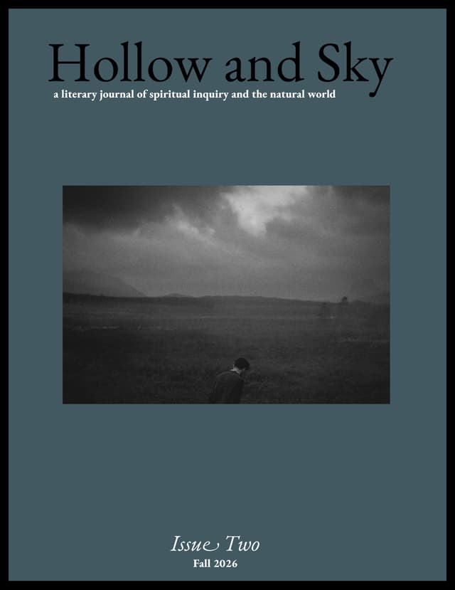 Hollow and Sky latest issue