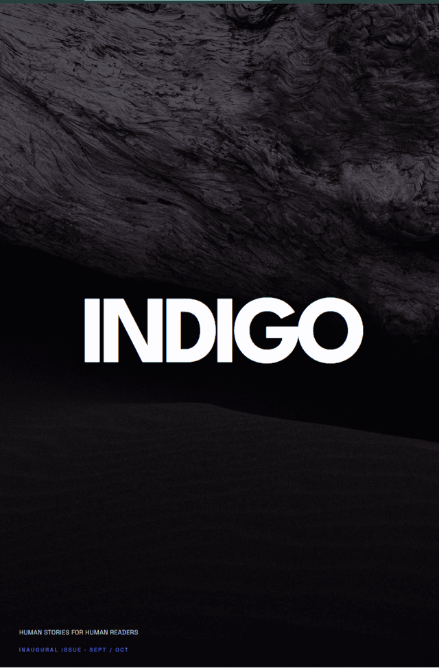 INDIGO Literature Review latest issue