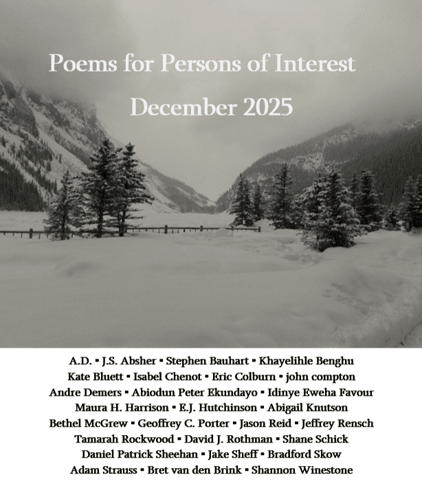 Poems for Persons of Interest latest issue