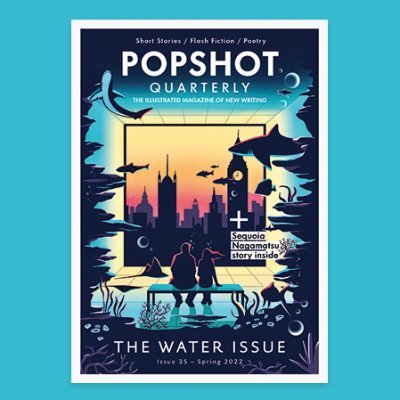 popshot quarterly submissions
